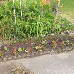 20230706_193119.jpg