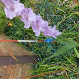 20230731_100439.jpg