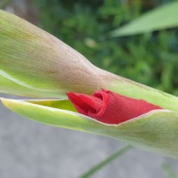 20230803_182519.jpg