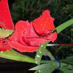 20230805_180434.jpg