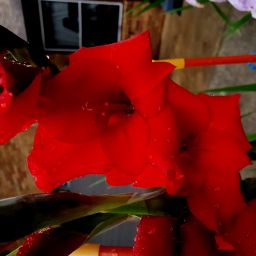 20230806_083025.jpg