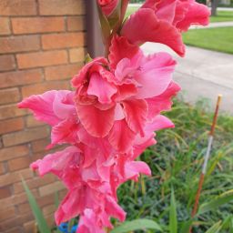 20230814_080527.jpg