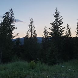 20230628_210912.jpg
