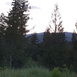 20230628_210920.jpg