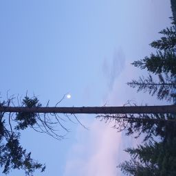 20230628_211957.jpg