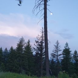 20230628_212004.jpg