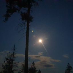 20230628_221712.jpg