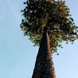 20230629_102259.jpg