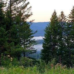 20230629_102351.jpg
