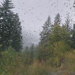 20230830_072115.jpg
