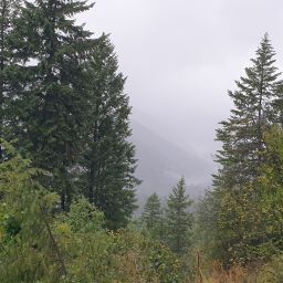 20230830_072144.jpg