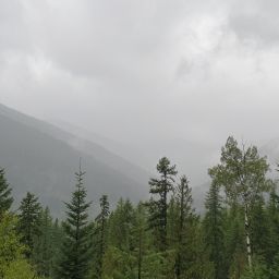 20230830_072331.jpg