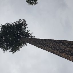 20230831_143641.jpg