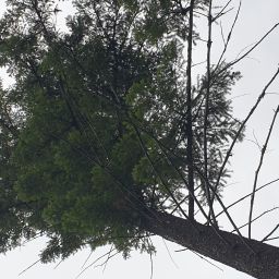 20230831_143805.jpg