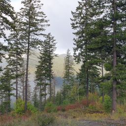 20230901_072535.jpg