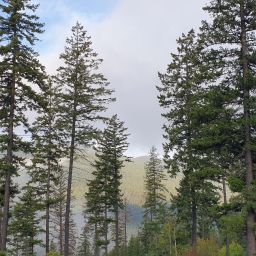 20230901_072538.jpg
