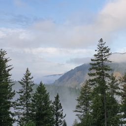 20230901_072545.jpg