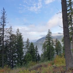20230901_072550.jpg