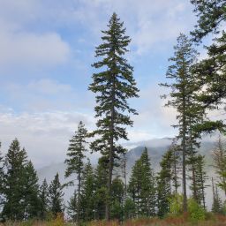 20230901_072639.jpg
