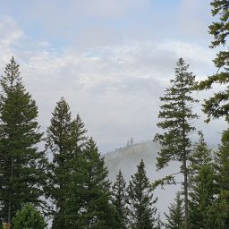 20230901_072654.jpg