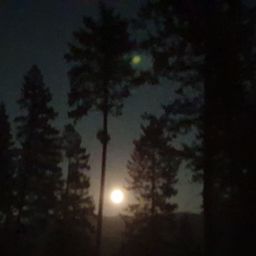 20230901_212350.jpg
