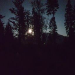 20230901_212832.jpg