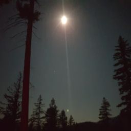 20230902_035509.jpg