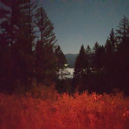 20230902_035551.jpg