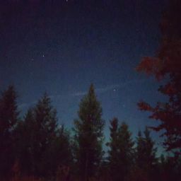 20230902_035638.jpg