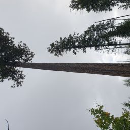 20230904_093555.jpg