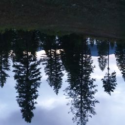 20230906_055336.jpg