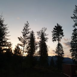 20230911_055801.jpg
