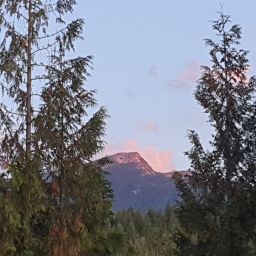 20230911_062554.jpg