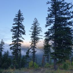 20230913_065741.jpg