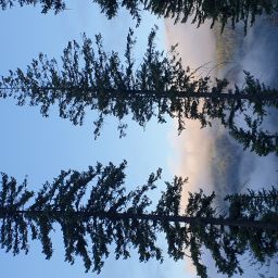 20230913_065755.jpg
