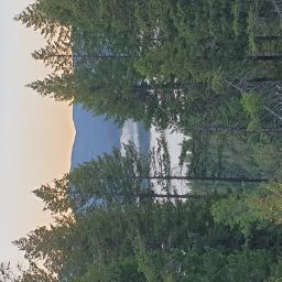 20230914_063332.jpg