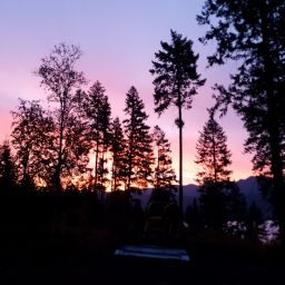 20230919_062129.jpg