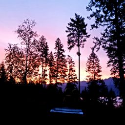 20230919_062228.jpg