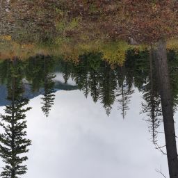 20230919_085824.jpg