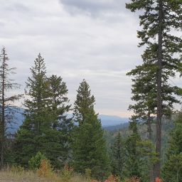 20230919_152122.jpg
