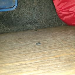 20230806_083440.jpg