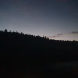 20230701_034036.jpg
