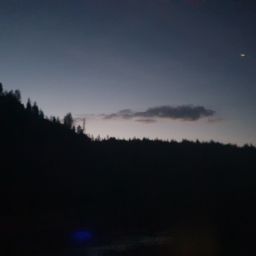 20230701_034203.jpg