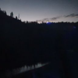 20230701_034214.jpg