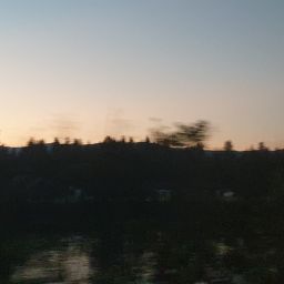 20230701_051719.jpg