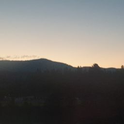 20230701_051732.jpg