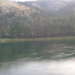 20230701_053925.jpg