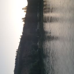 20230701_054017.jpg