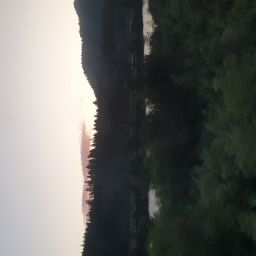 20230701_054034.jpg