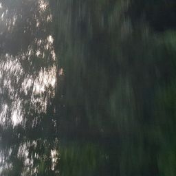 20230701_054045.jpg